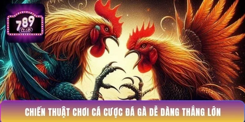 chien-thuat-choi-ca-cuoc-da-ga-de-dang-thang-lon