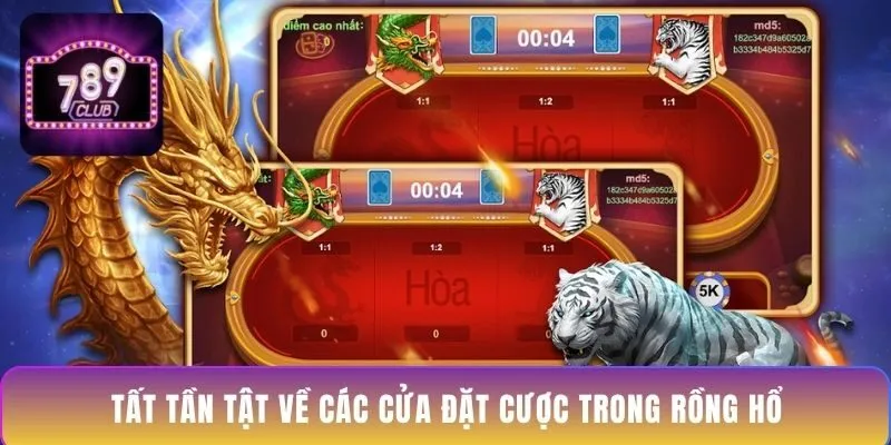 tat-tan-tat-ve-cac-cua-dat-cuoc-trong-rong-ho