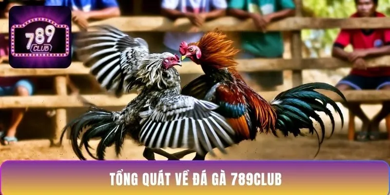 tong-quat-ve-da-ga-789club